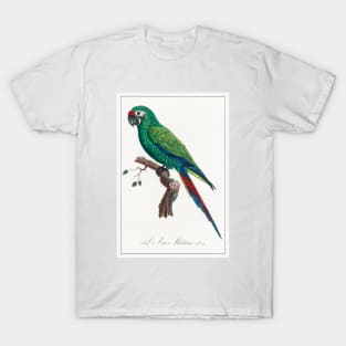 Military Macaw (1801—1805) T-Shirt